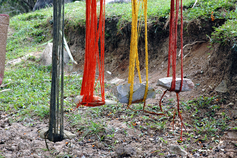 Drying plant dyed cotton