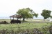 Open coastline thumbnail